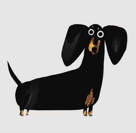 cute wiener dog wallpapers 0062