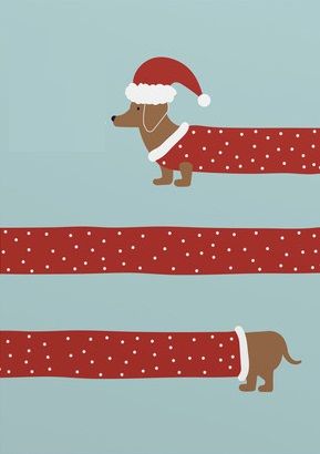 cute wiener dog wallpapers 0077