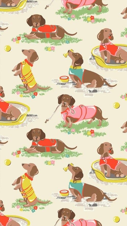 cute wiener dog wallpapers 0081