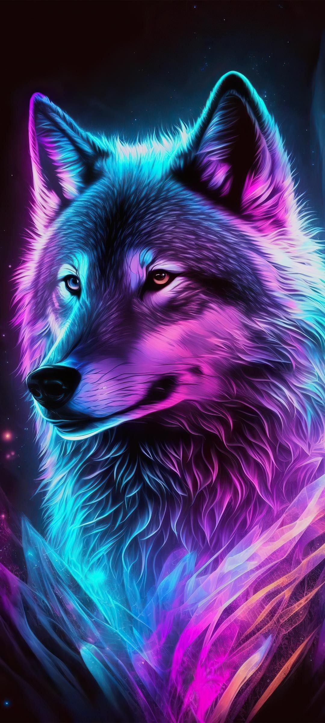 cute wolf wallpapers 0032