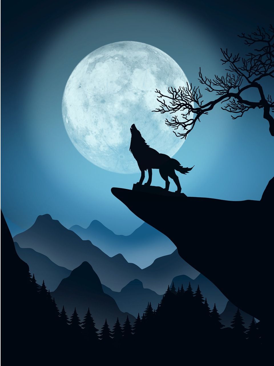 cute wolf wallpapers 0039