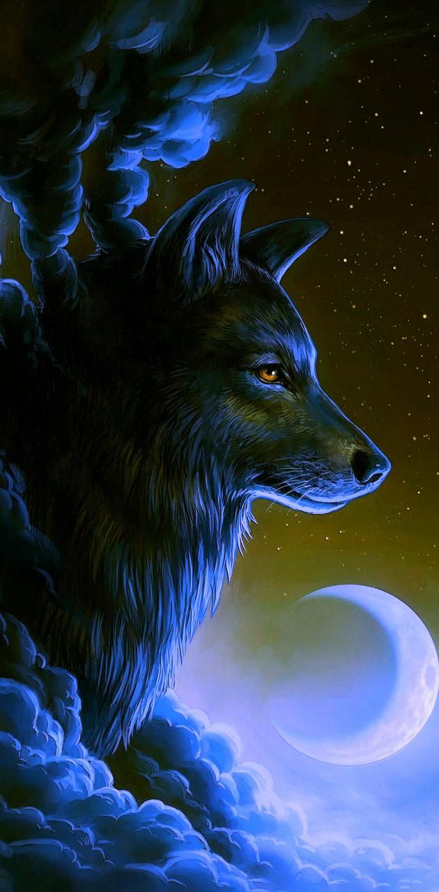 cute wolf wallpapers 0048