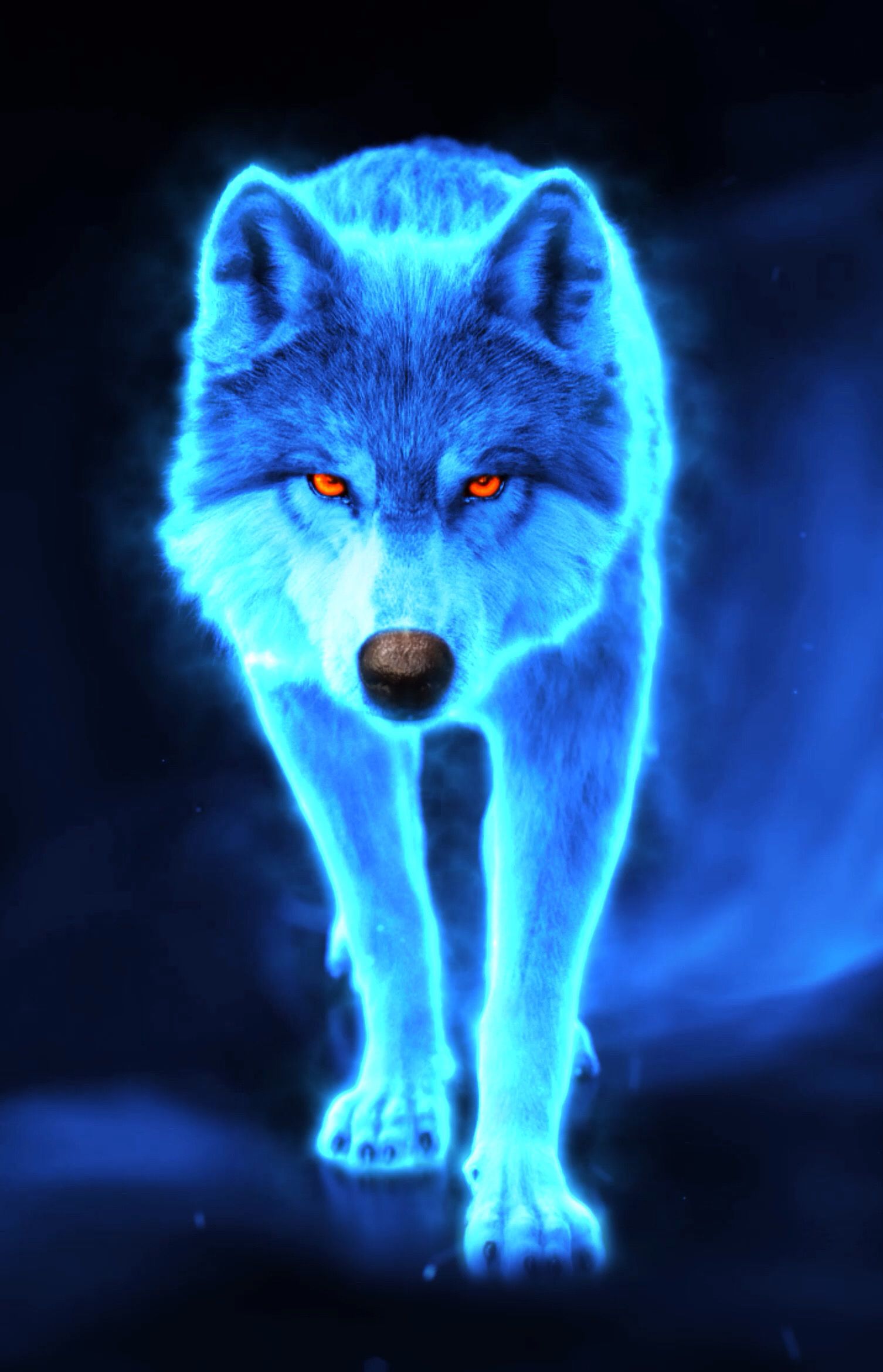 cute wolf wallpapers 0078