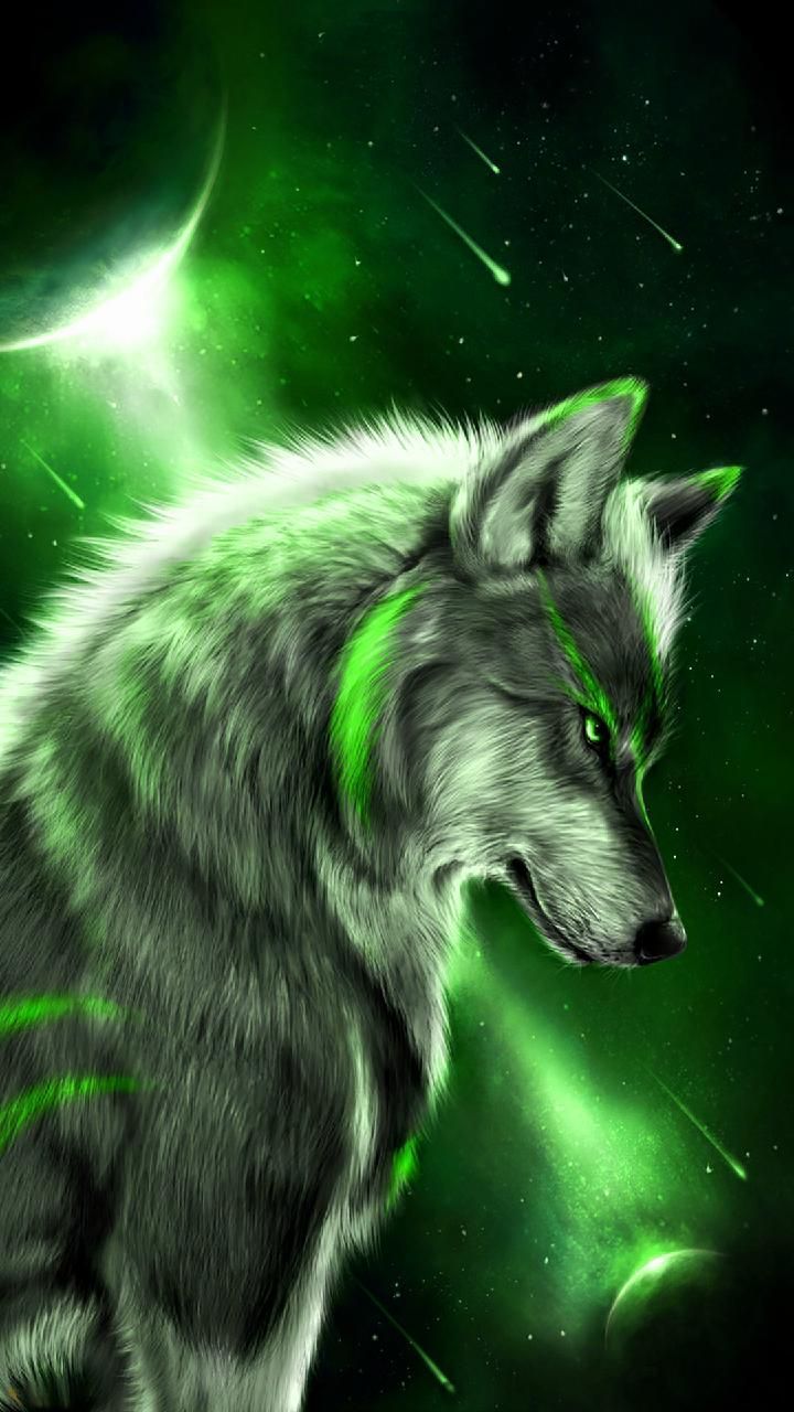 cute wolf wallpapers 0099