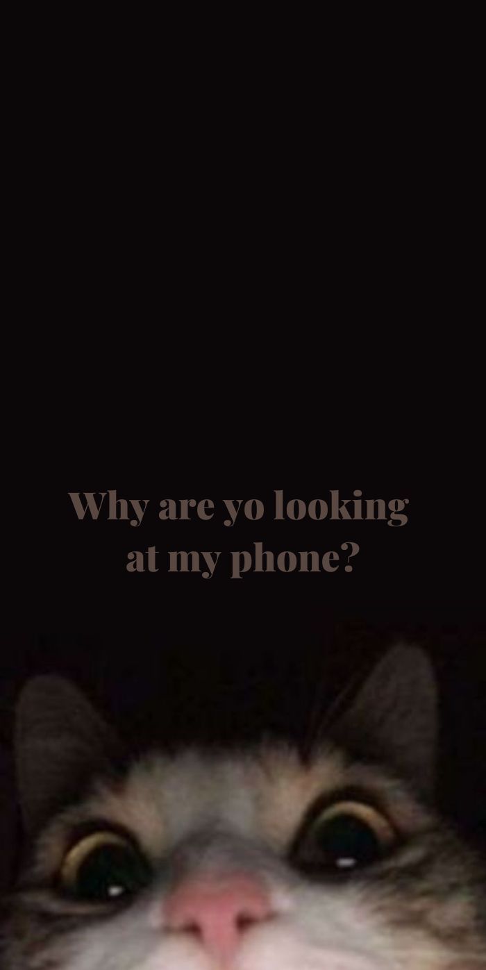 dont touch my phone wallpapers cute 0078