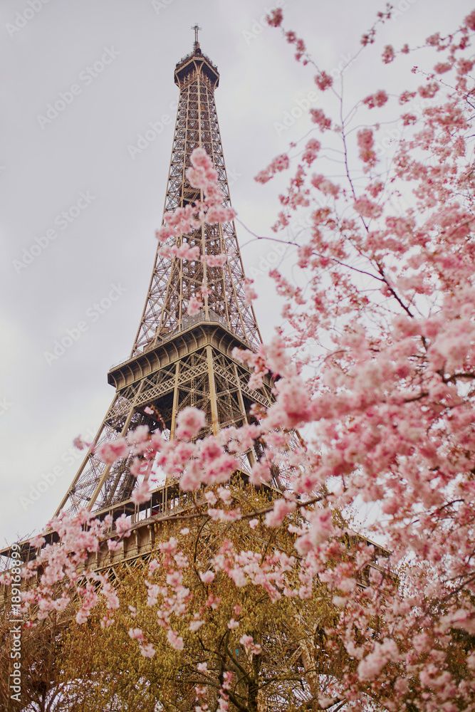 Eiffel Tower cute paris wallpapers 0019