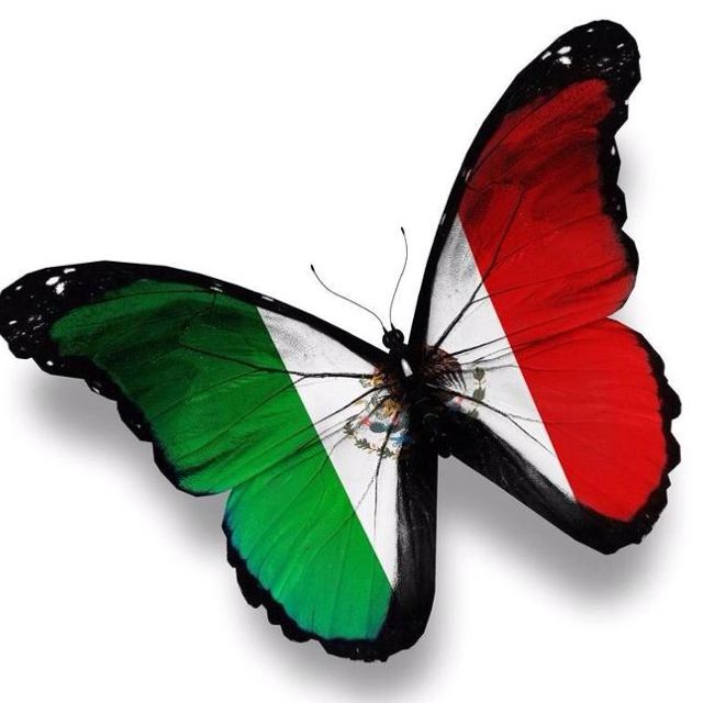 flag cute Mexican wallpapers butterfly 0017