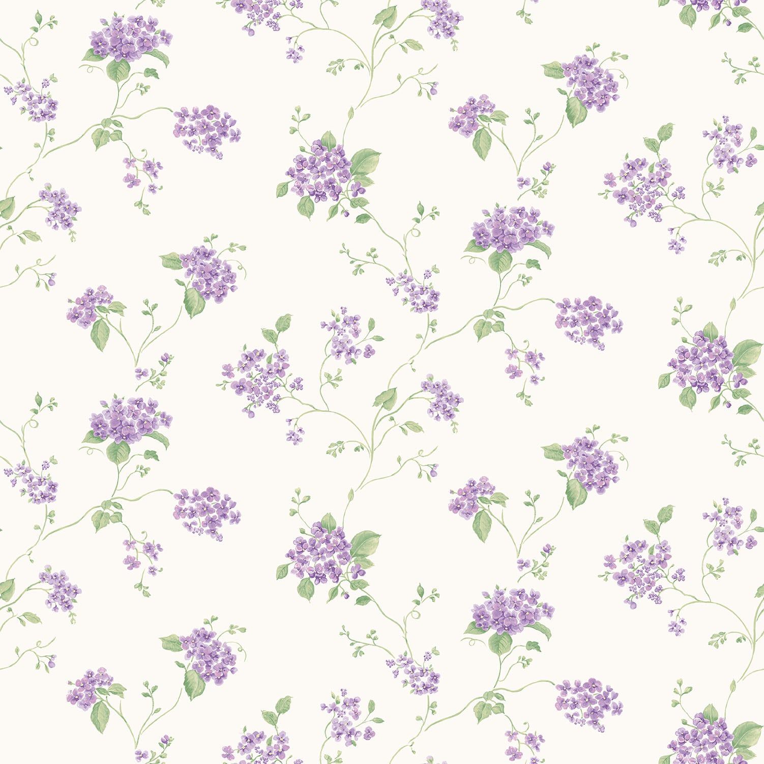 high-resolution cute lilac wallpapers