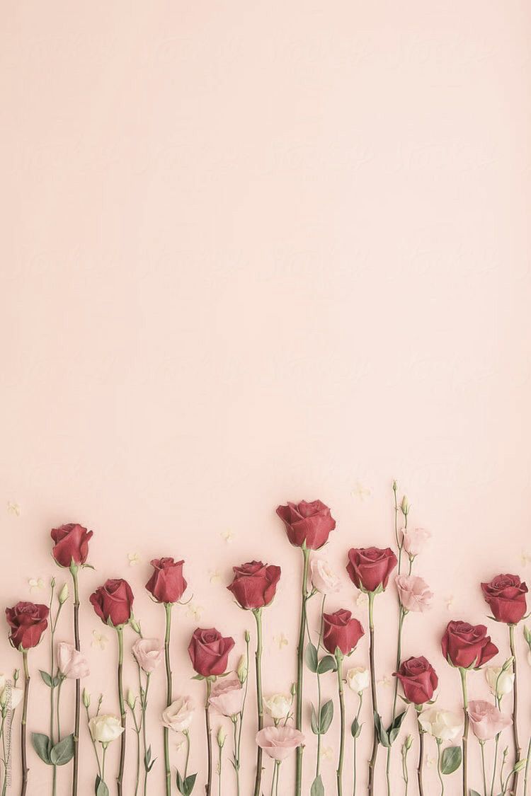 personalized cute wallpapers roses