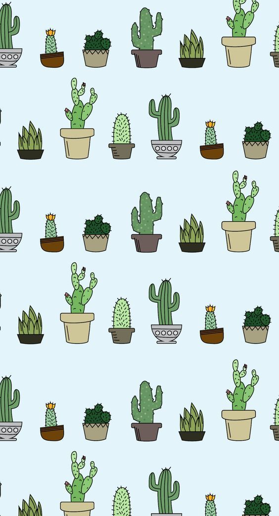 playful cactus illustrations.