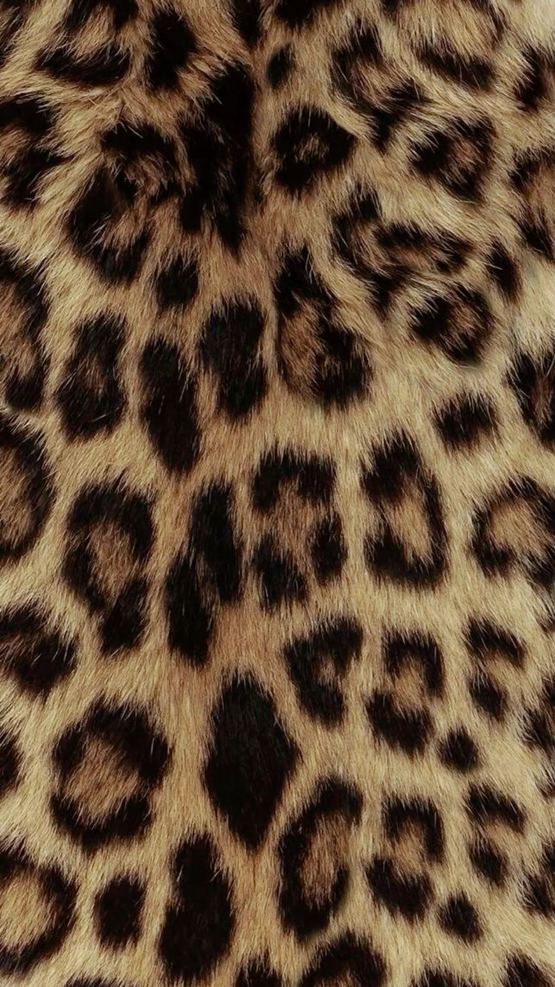 playful cheetah print aesthetic wallpapers