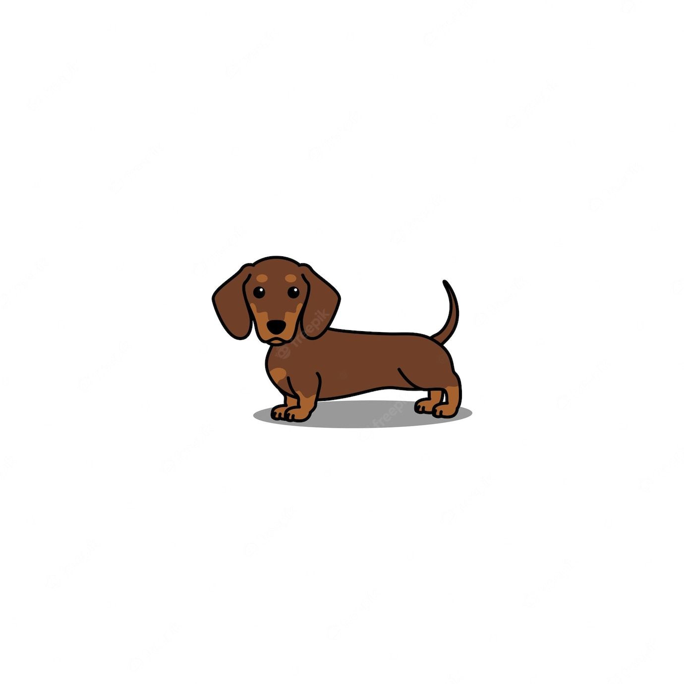 playful dachshund-themed wallpapers