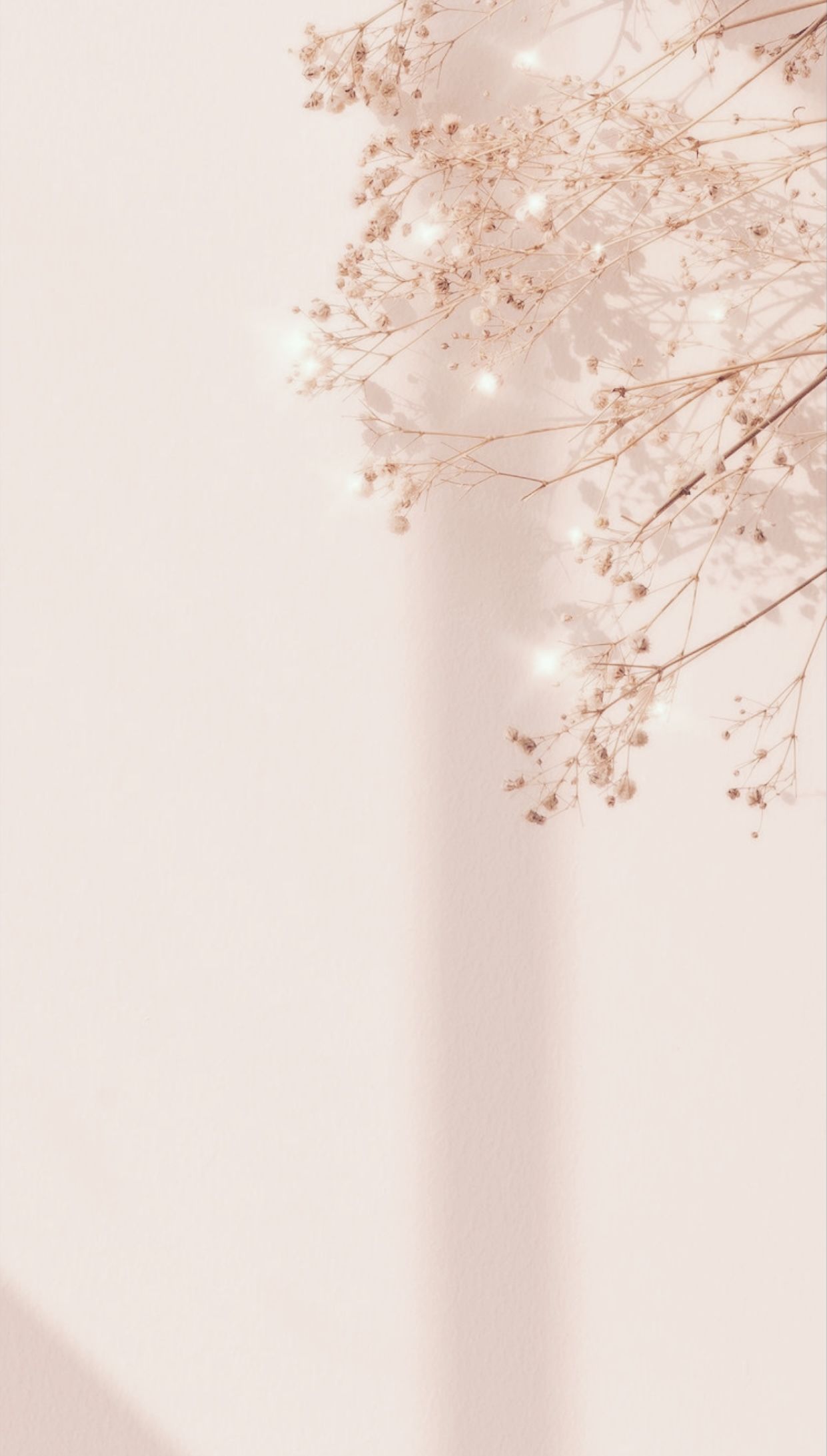 rose gold cute wallpapers 0050