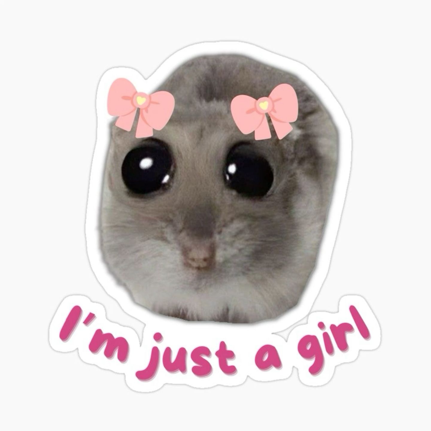 stylish cute hamster wallpapers for all devices.