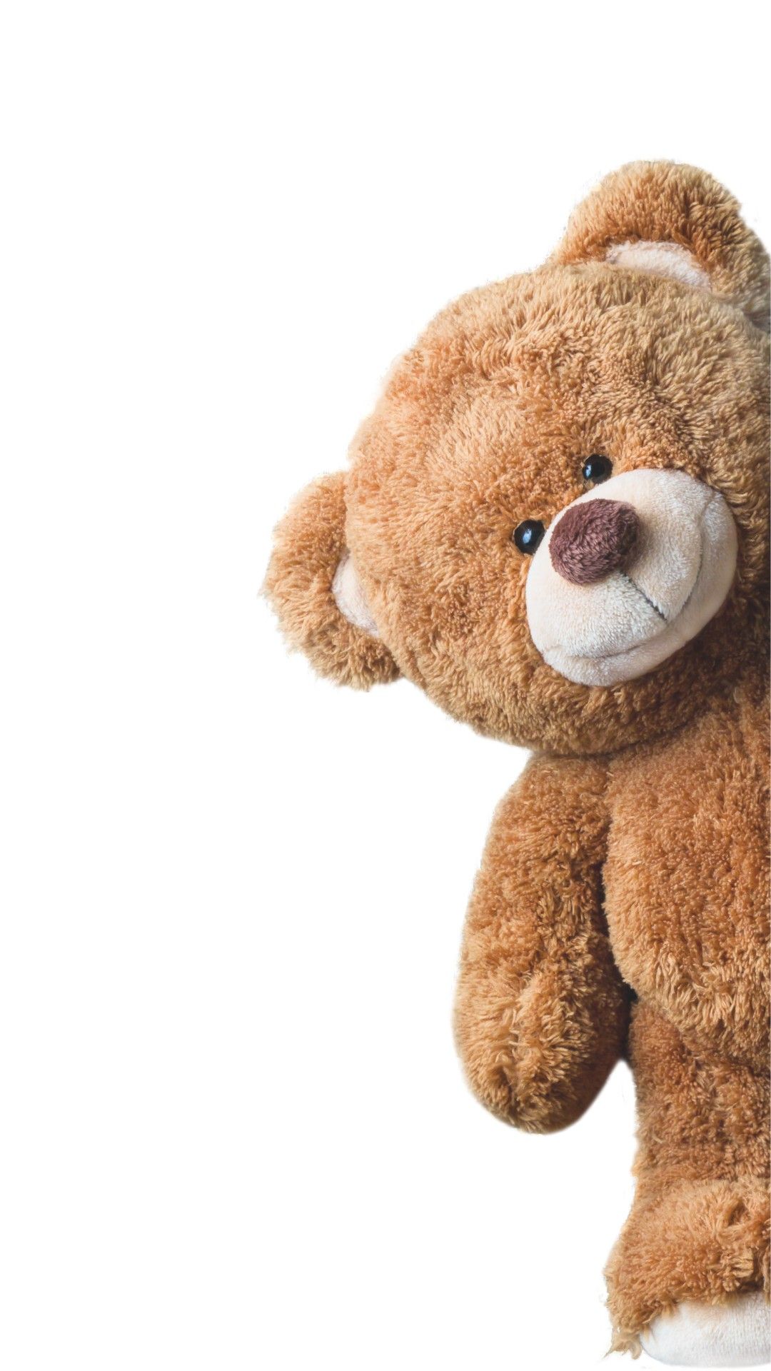 stylish cute Teddy Bear phone wallpapers