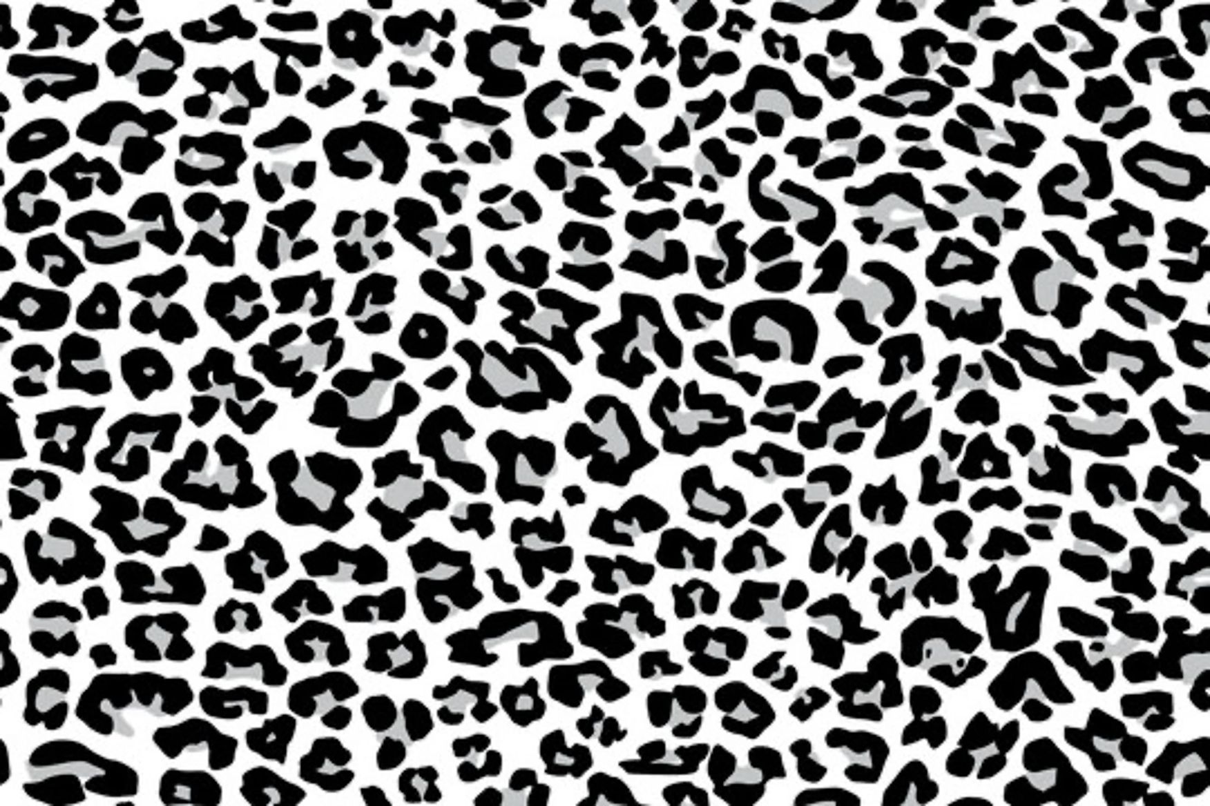 stylish cute wallpapers cheetah print collection