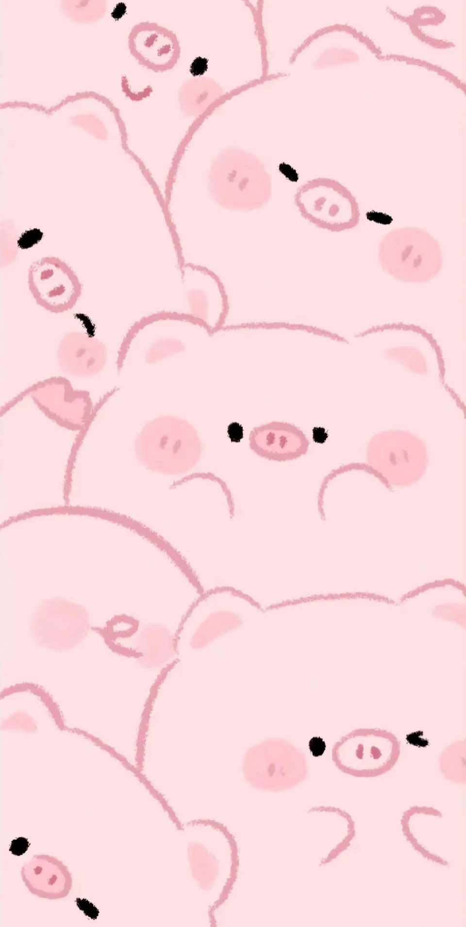 trendy cute pig wallpapers.