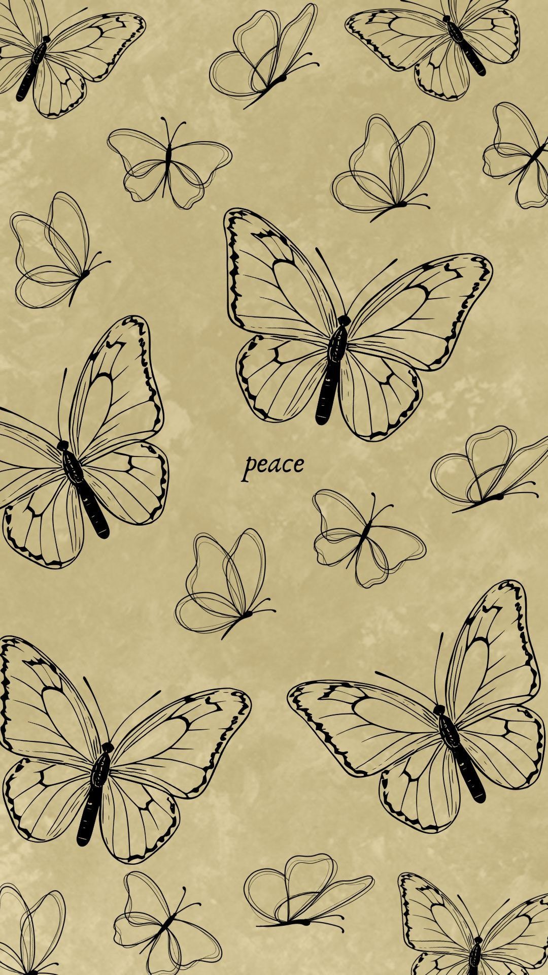 vibrant cute butterfly wallpapers collection