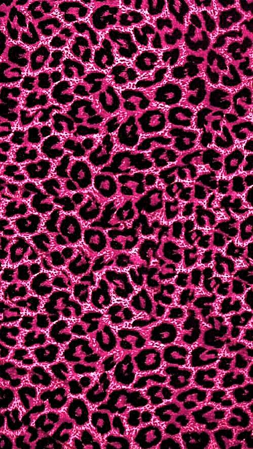 vibrant hot pink wallpapers