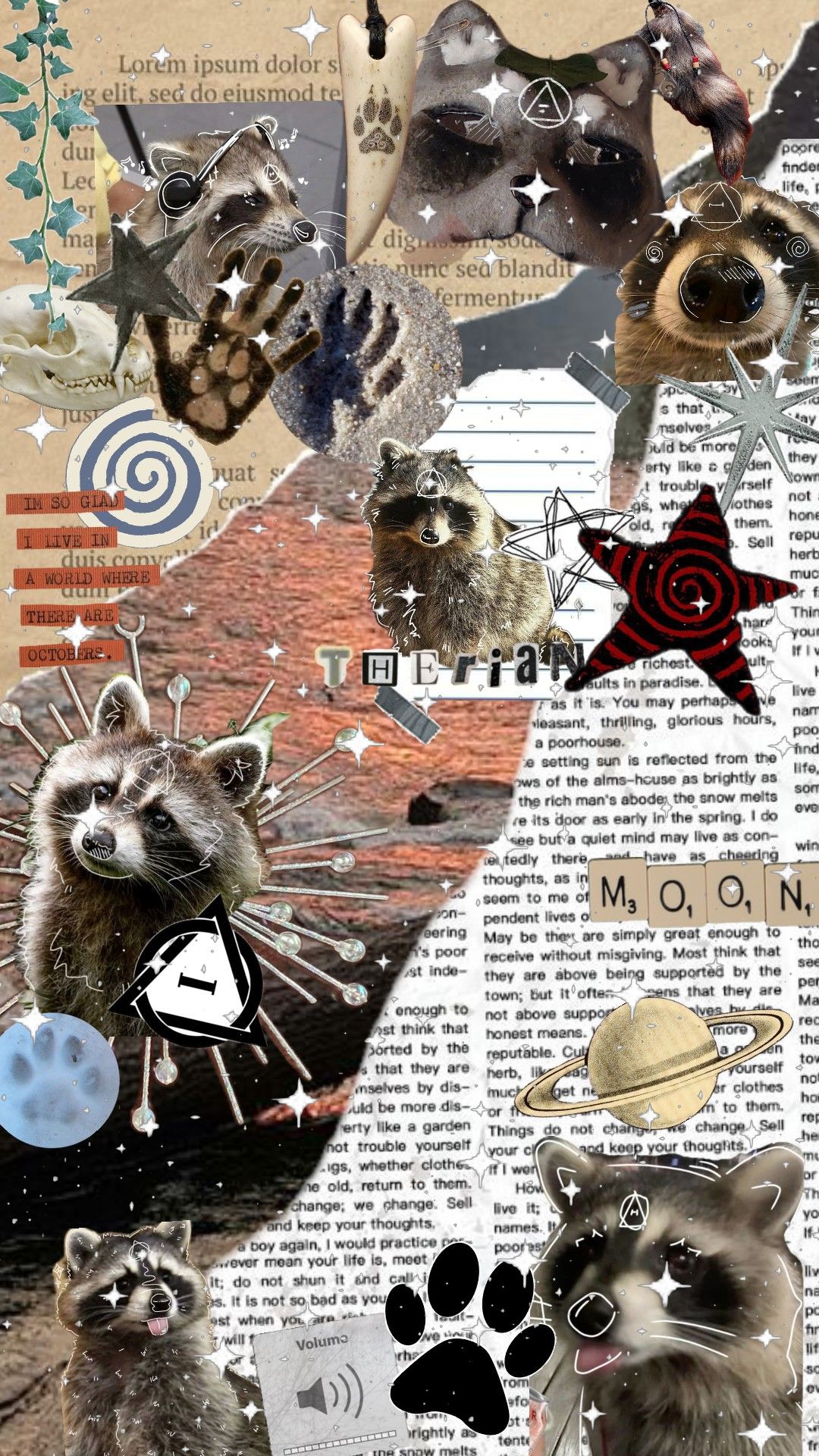 whimsical raccoon themed wallpapers