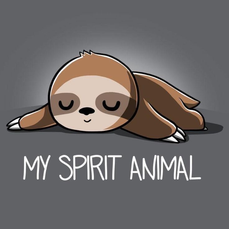 whimsical sloth-themed wallpapers