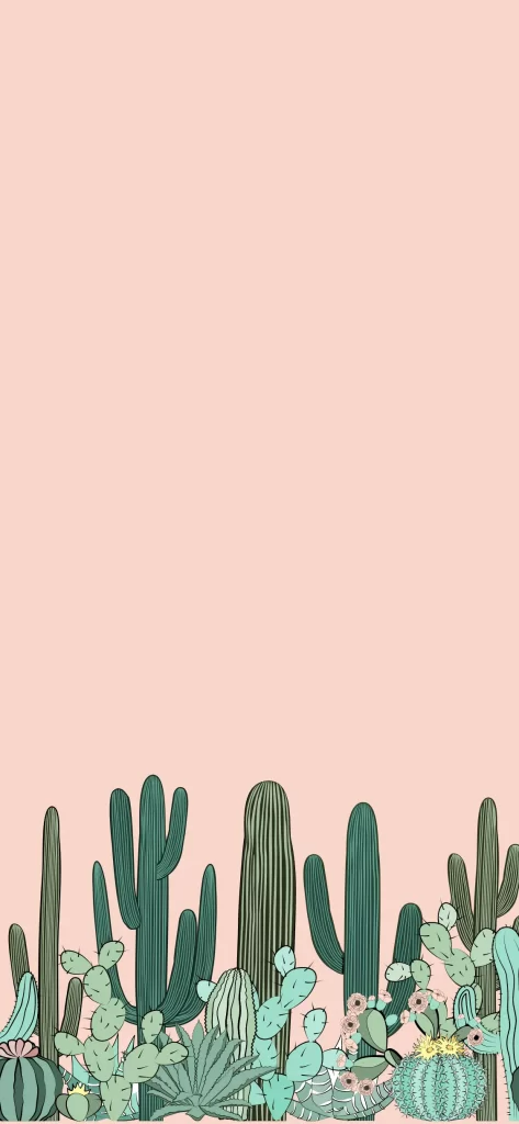 Cute cactus wallpapers are perfect for adding charm to your devices