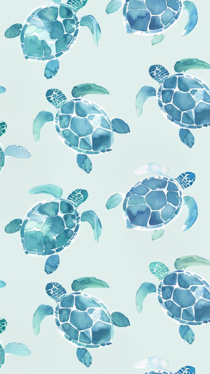 Exclusive cute summer wallpapers that brighten up your devices